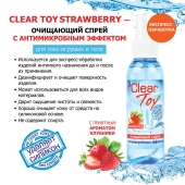 Очищающий спрей для игрушек CLEAR TOY Strawberry - 100 мл. - Биоритм - купить с доставкой в Копейске