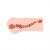 Мастурбатор-вагина Monica без вибрации - KOKOS - в Копейске купить с доставкой