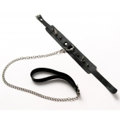 Черный ошейник с шипами и поводком - Crazy Handmade - купить с доставкой в Копейске