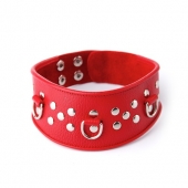 Кожаный красный ошейник с велюровой подкладкой - Sitabella - купить с доставкой в Копейске