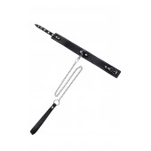 Кожаный двухслойный ошейник с белой строчкой и поводком - Pecado - купить с доставкой в Копейске