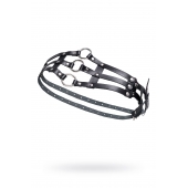 Черный кожаный пояс с кольцами - Pecado - купить с доставкой в Копейске