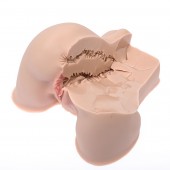 Мастурбатор-полуторс Naked Factory Kate - Naked Factory - в Копейске купить с доставкой