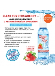 Очищающий спрей для игрушек CLEAR TOY Strawberry - 100 мл. - Биоритм - купить с доставкой в Копейске