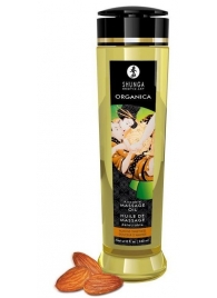Массажное масло Organica с ароматом миндаля - 240 мл. - Shunga - купить с доставкой в Копейске