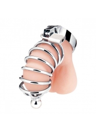 Серебристая клетка для члена Urethral Play Cage - BlueLine - купить с доставкой в Копейске