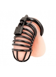 Черная металлическая клетка с замком Deluxe Chastity Cage - BlueLine - купить с доставкой в Копейске