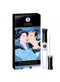 Возбуждающий блеск для губ с ароматом кокоса  Божественное удовольствие  - 10 мл. - Shunga - купить с доставкой в Копейске