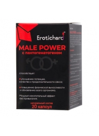 Капсулы для мужчин Erotichard male power с пантогематогеном - 20 капсул (0,370 гр.) - Erotic Hard - купить с доставкой в Копейске
