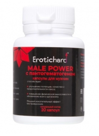 Капсулы для мужчин Erotichard male power с пантогематогеном - 20 капсул (0,370 гр.) - Erotic Hard - купить с доставкой в Копейске