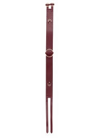 Бордовый ремень Halo Waist Belt - размер L-XL - Shots Media BV - купить с доставкой в Копейске