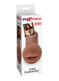 Мастурбатор-ротик Coed Cocksucker - Pipedream - в Копейске купить с доставкой