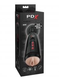 Мастурбатор-вагина с вибрацией Dirty Talk Starter Stroker - Pipedream - в Копейске купить с доставкой