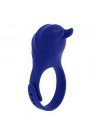 Синее эрекционное виброкольцо с клиторальной подушечкой и пультом ДУ Adjustable Fun Ring - Zero Tolerance - в Копейске купить с доставкой