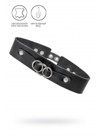Черный чокер-ошейник со связанными кольцами на подложке - Pecado - купить с доставкой в Копейске