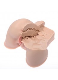 Мастурбатор-полуторс Naked Factory Kate - Naked Factory - в Копейске купить с доставкой