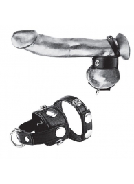 Утяжка для мошонки и пениса Cock Ring With 1  Ball Stretcher And Optional Weight Ring - BlueLine - купить с доставкой в Копейске