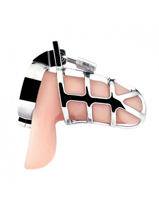 Серебристая металлическая клетка для члена с замком Enslave Cock Cage - BlueLine - купить с доставкой в Копейске