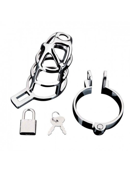 Серебристая металлическая клетка для члена с замком Enslave Cock Cage - BlueLine - купить с доставкой в Копейске
