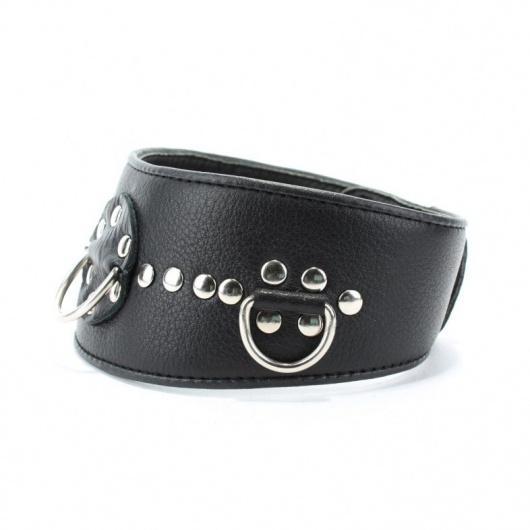 Чёрный кожаный ошейник с полукольцами и клёпками - БДСМ Арсенал - купить с доставкой в Копейске