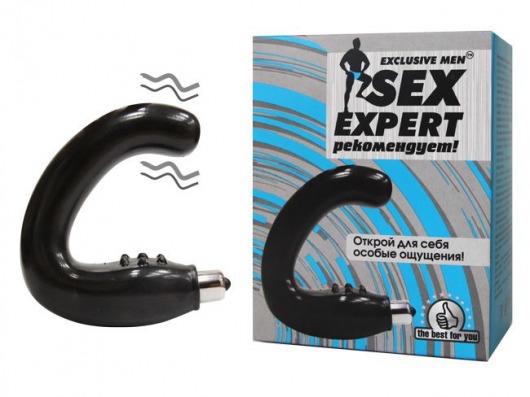 Чёрный массажёр простаты серии Sex Expert - Sex Expert - в Копейске купить с доставкой