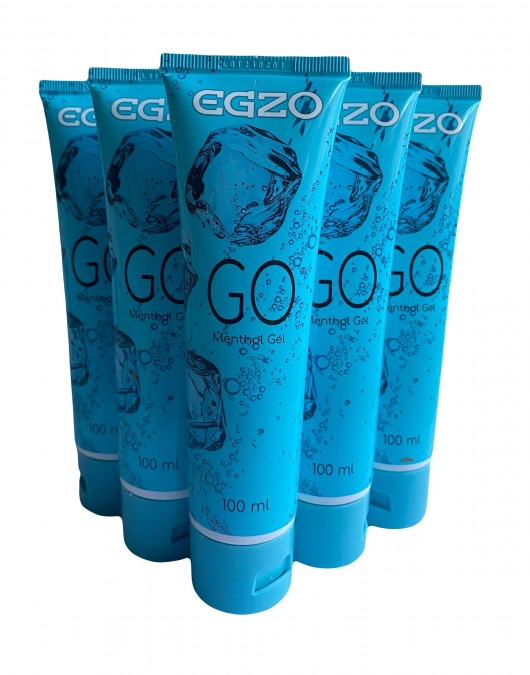Набор из 5 пролонгирующих лубрикантов на водной основе Egzo Go (по 100 мл.) - EGZO - купить с доставкой в Копейске