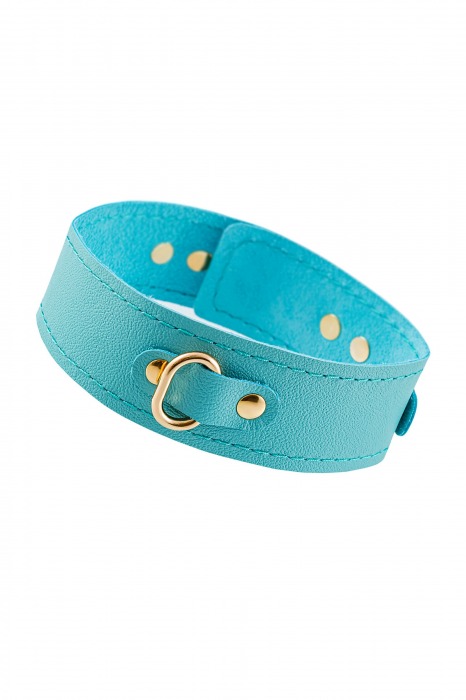 Голубой кожаный однослойный ошейник с прошивкой - Pecado - купить с доставкой в Копейске