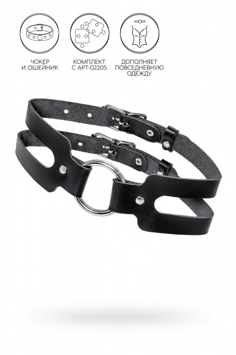 Черный кожаный чокер-ошейник из двух ремешков - Pecado - купить с доставкой в Копейске