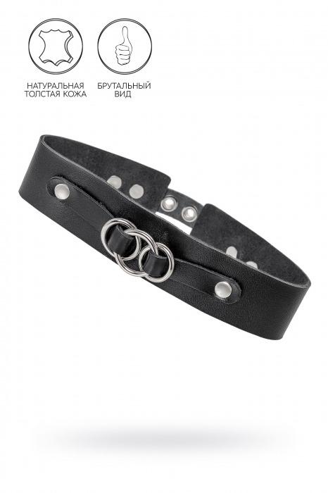 Черный чокер-ошейник со связанными кольцами на подложке - Pecado - купить с доставкой в Копейске