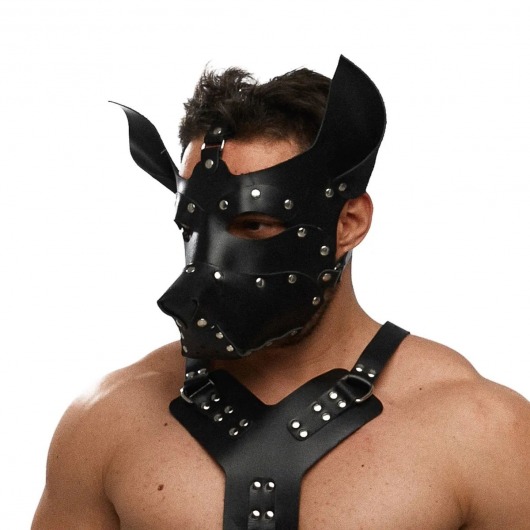 Черная кожаная маска «Собака» - Crazy Handmade - купить с доставкой в Копейске